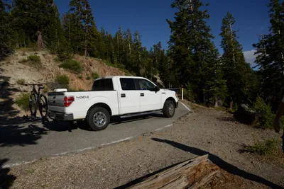 DSC_3543 (Large).JPG